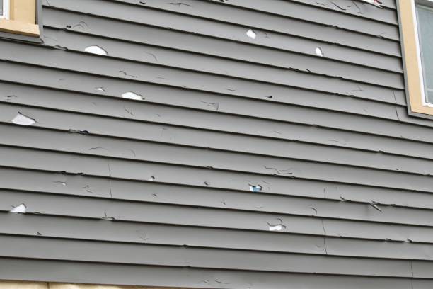 Best Historical Building Siding Restoration  in Rosedale, MD